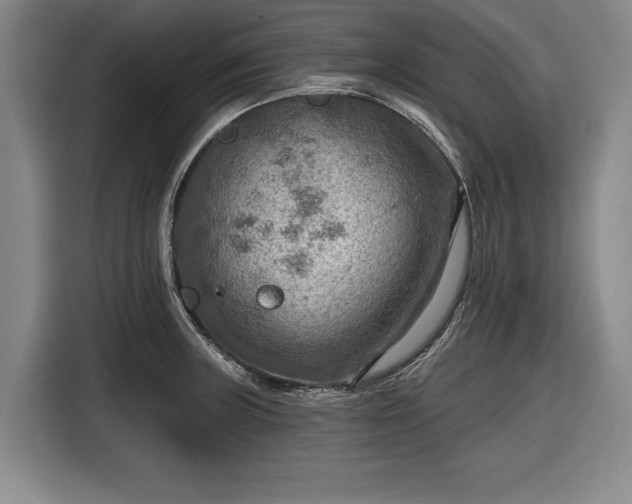 X0000116551235200912171342