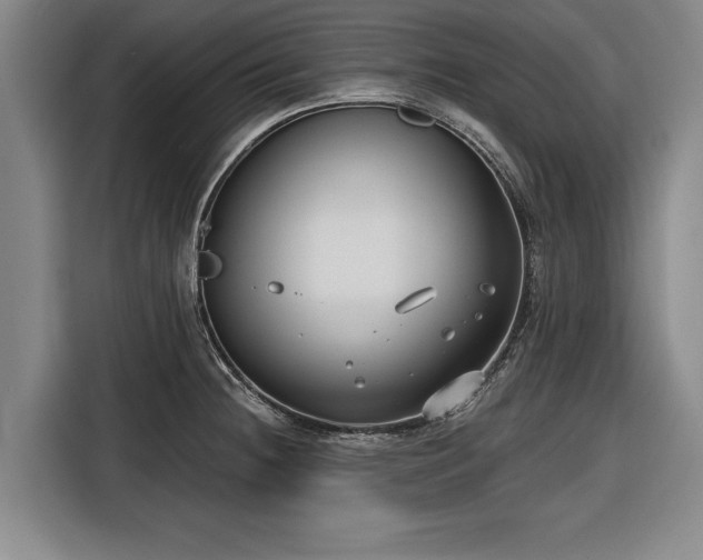 X0000116551236200912171342