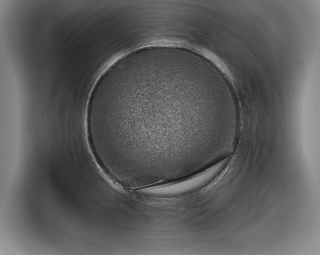 X0000116551237200912171342