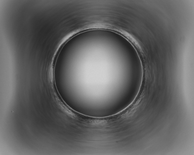 X0000116551238200912171342