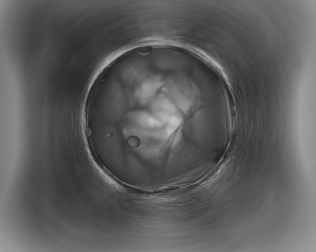 X0000116551239200912171342