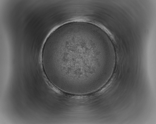 X0000116551240200912171342