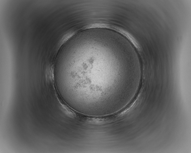 X0000116551241200912171342