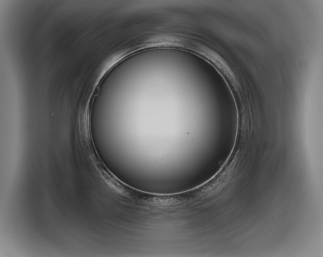 X0000116551242200912171342