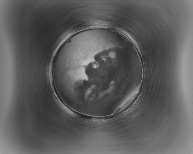 X0000116551243200912171342