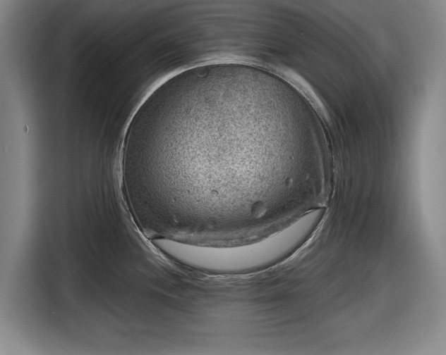 X0000116551244200912171343