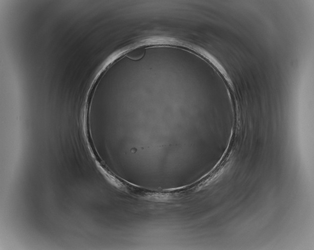 X0000116551245200912171343