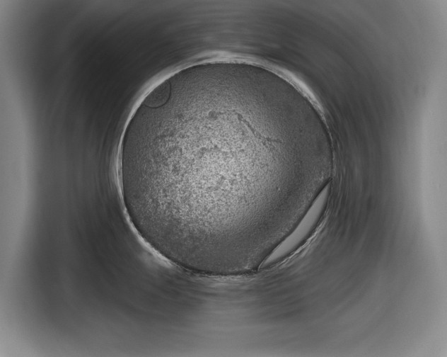 X0000116551247200912171343