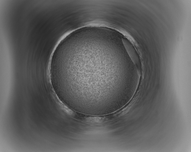 X0000116551248200912171343