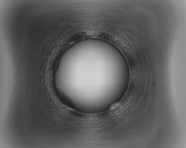 X0000116551249200912171342