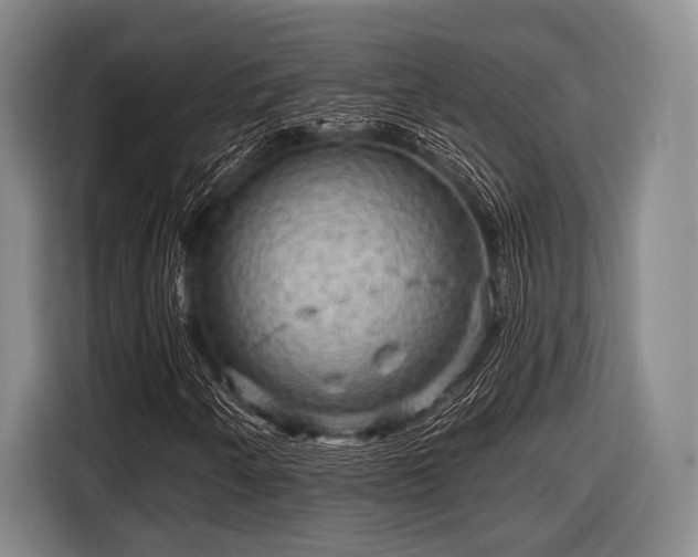 X0000116551250200912171342