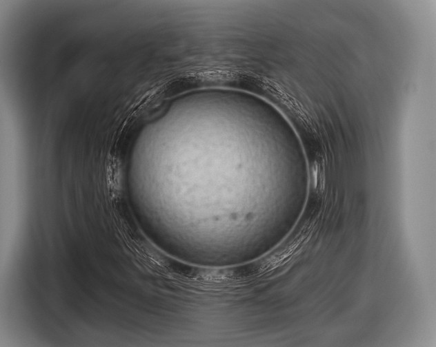 X0000116551251200912171342