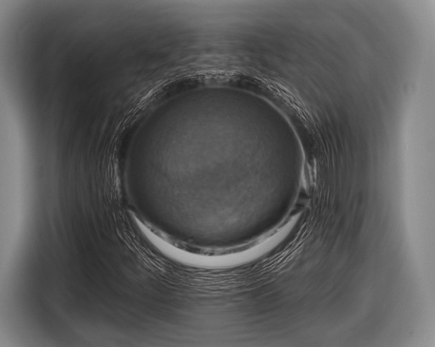 X0000116551252200912171342