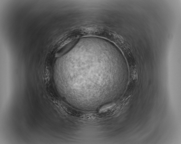 X0000116551253200912171342