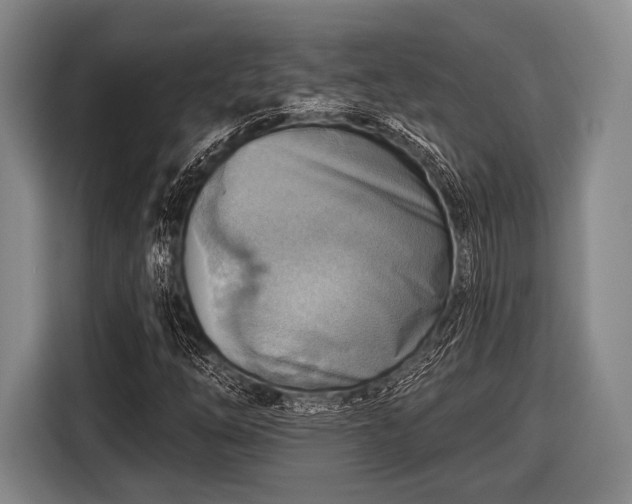 X0000116551254200912171342