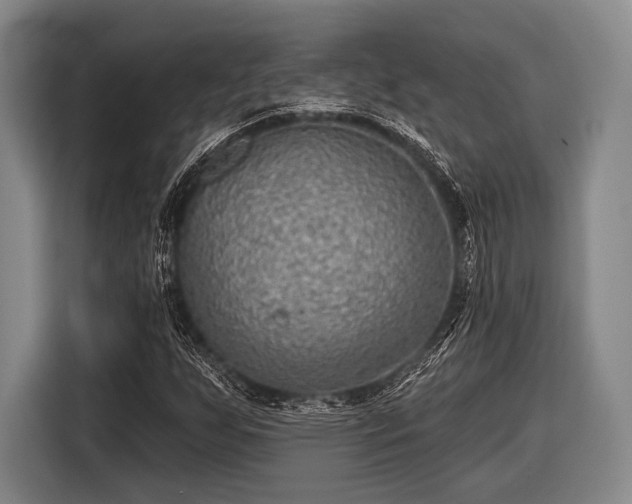 X0000116551255200912171342