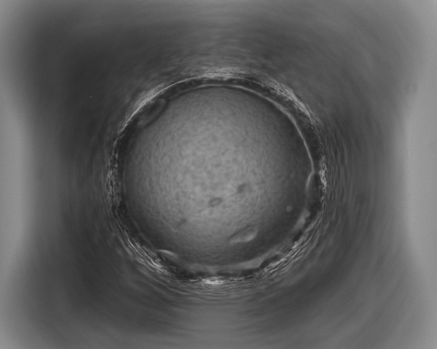 X0000116551256200912171342