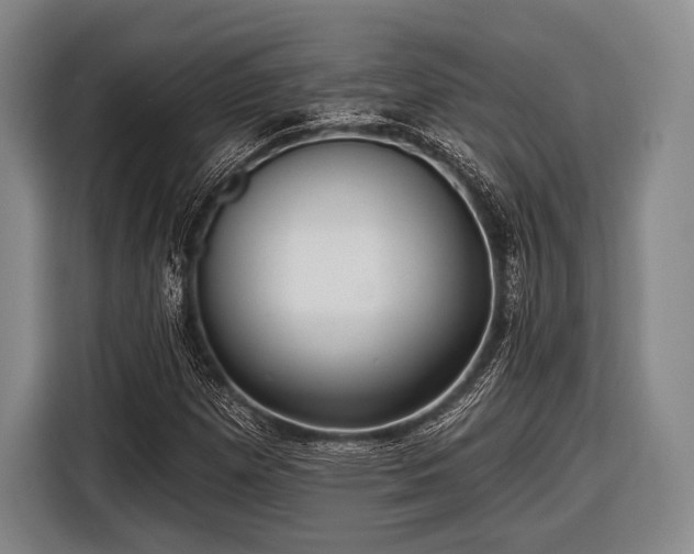 X0000116551257200912171342