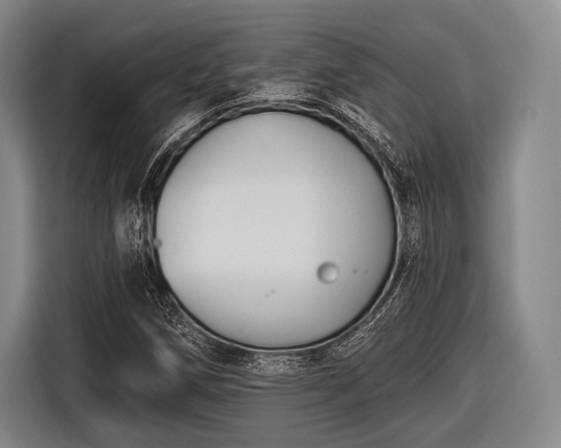 X0000116551258200912171342