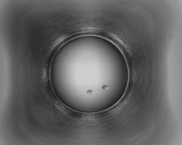 X0000116551259200912171342