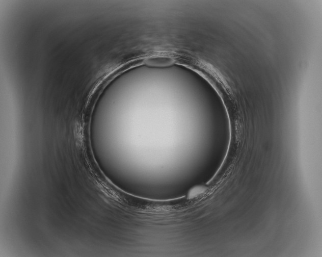 X0000116551260200912171342