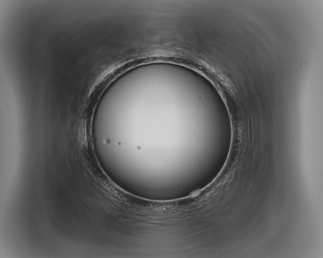 X0000116551262200912171342