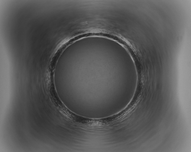 X0000116551263200912171342