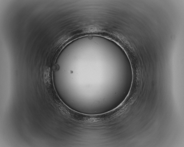 X0000116551265200912171342