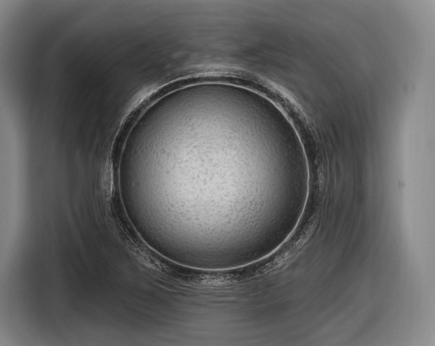 X0000116551267200912171342