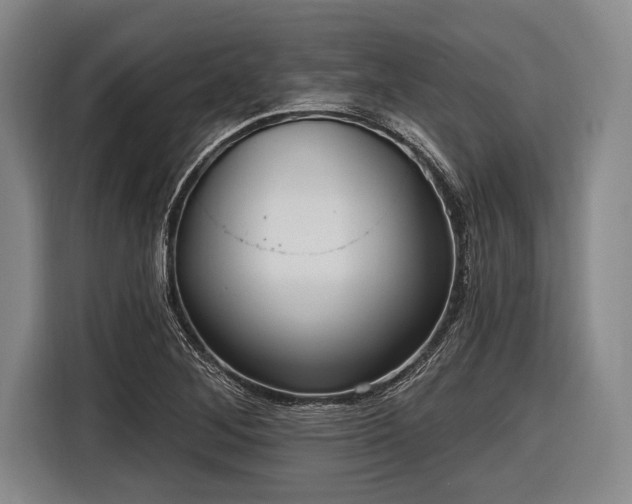 X0000116551268200912171342