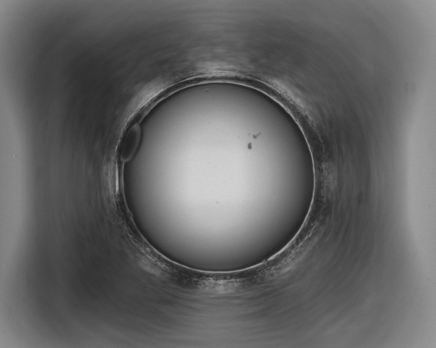 X0000116551269200912171342