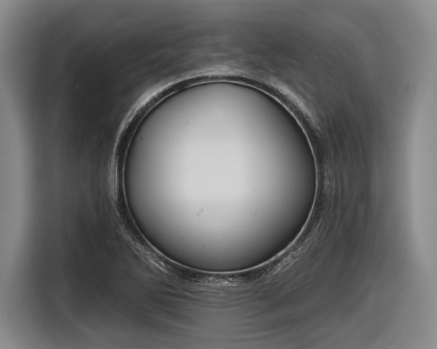 X0000116551270200912171342