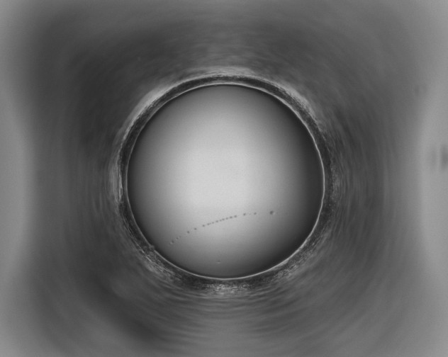 X0000116551271200912171342