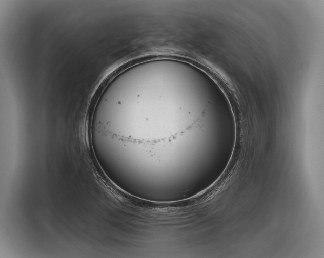 X0000116551272200912171342