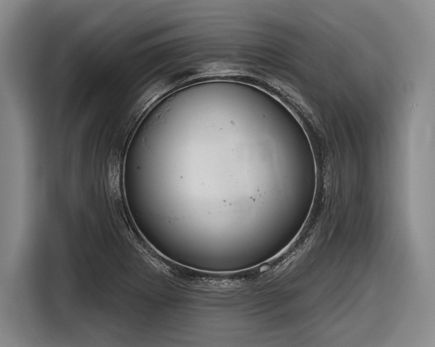 X0000116551273200912171342