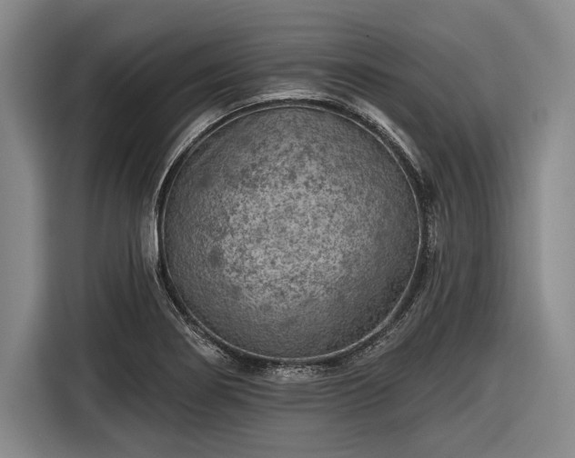 X0000116551274200912171342