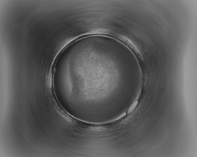 X0000116551276200912171342