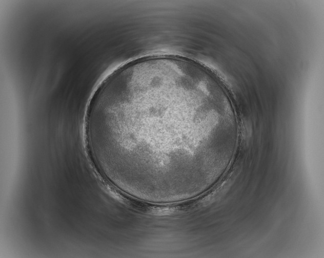 X0000116551278200912171342