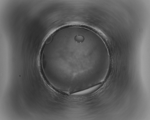 X0000116551279200912171342