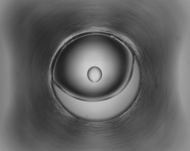 X0000116551280200912171342