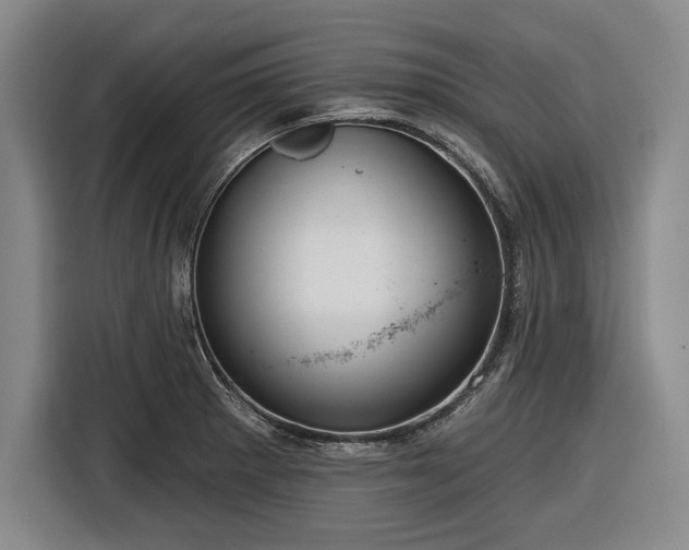 X0000116551281200912171342