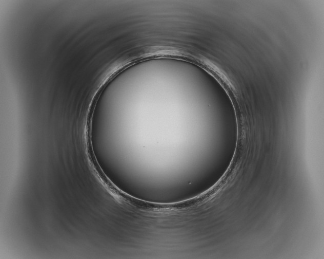 X0000116551282200912171342