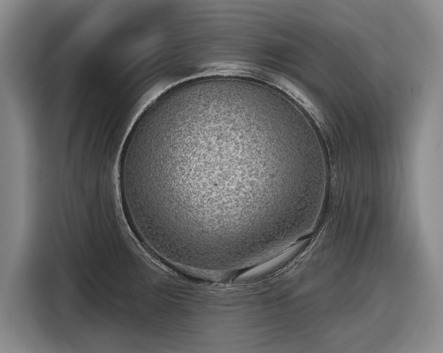 X0000116551283200912171341