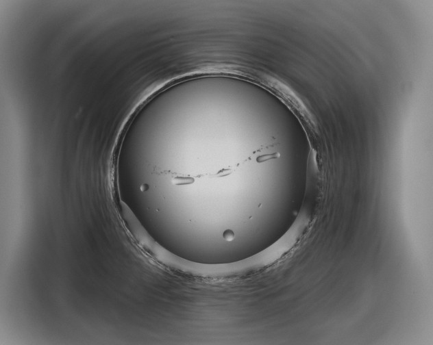 X0000116551284200912171341