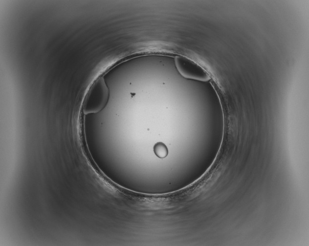 X0000116551285200912171341