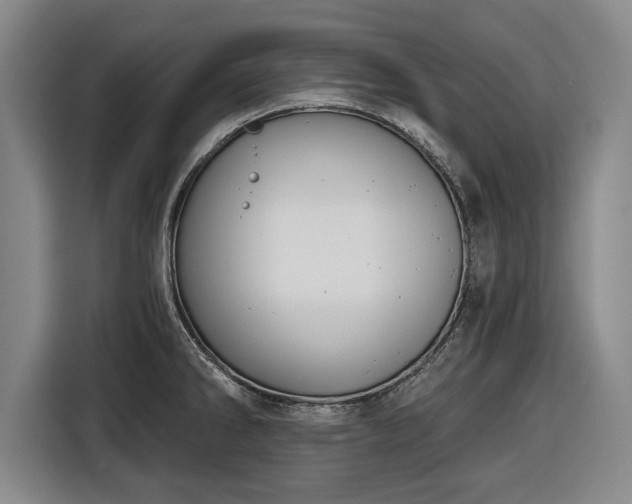 X0000116551286200912171341