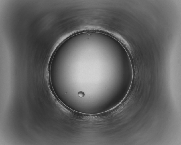 X0000116551287200912171341