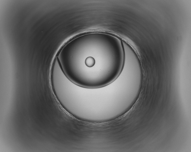 X0000116551288200912171341