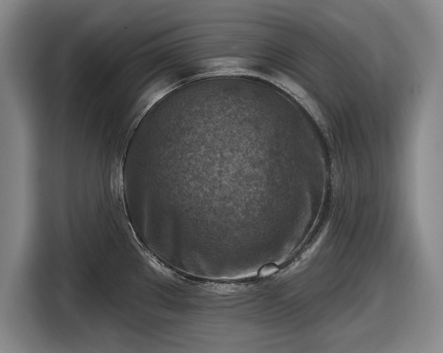 X0000116551289200912171341