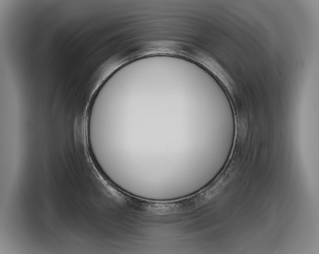 X0000116551290200912171341